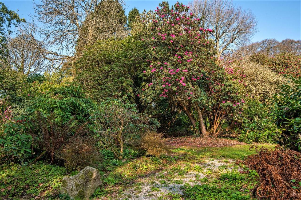 Bosvathick Cottage Constantine Extérieur photo